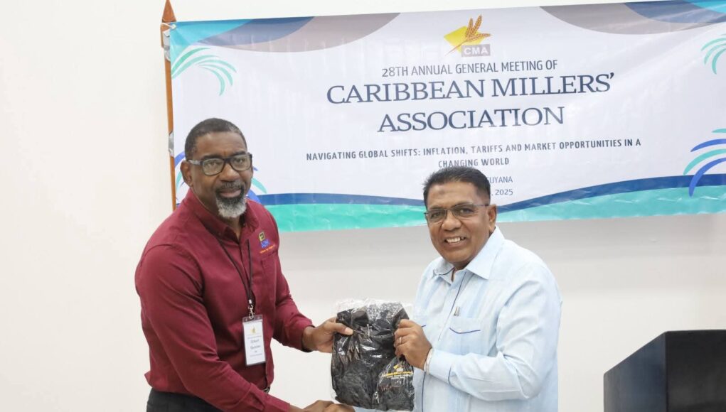 FB_IMG_1765303985467