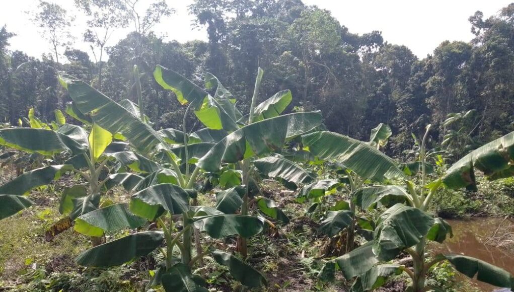 617950935_1205367441754099_4953961867863668080_n