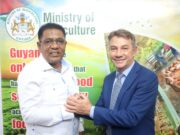 Guyana, Brazil discuss strengthening collaboration in cattle, agro-processing industries