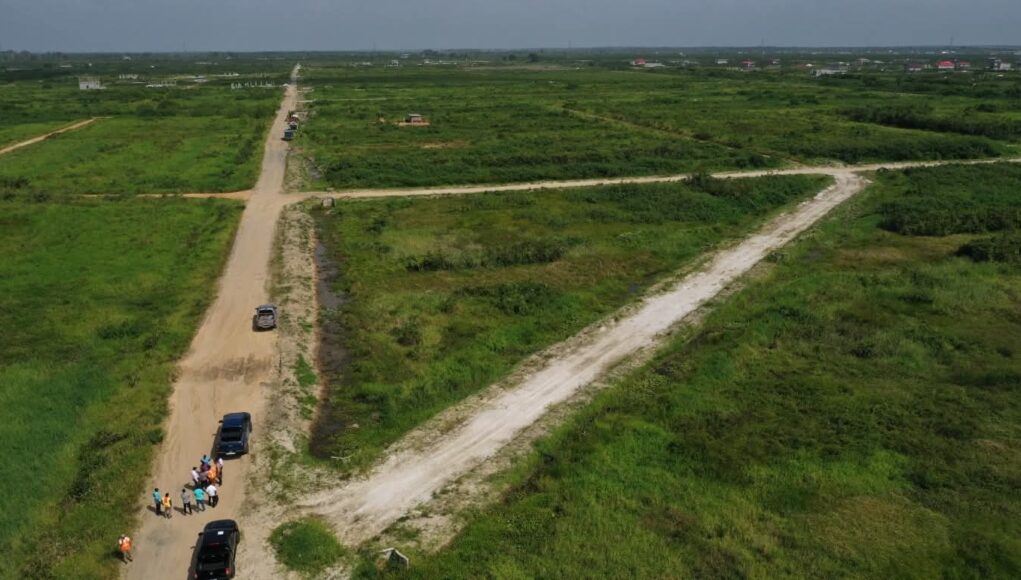 FB_IMG_1772207629947