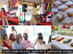 Phagwah reflects Guyana’s unity in diversity – Min. Mustapha