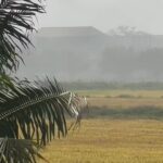 IMG-20260320-WA0008