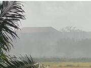 Just a Show”: Vilvoorden Residents Slam EPA Inaction as Rice Mill Dust Persists