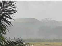 Just a Show”: Vilvoorden Residents Slam EPA Inaction as Rice Mill Dust Persists