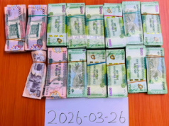 16-year-old caught on CCTV robbing Chinese businesswoman of millions in cash