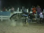 History booth added to Rupununi Rodeo lineup – Min Rodrigues