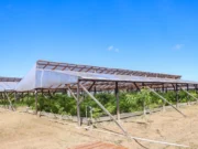 Kuru Kururu gets $5M shade house to boost agriculture