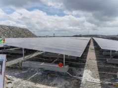 Aurora Solar Farm to cut 46,000 tonnes of CO2 emissions annually – PM Phillips