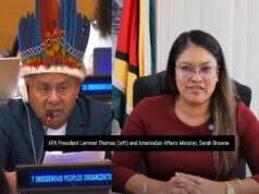 UN forum gets conflicting accounts of Amerindian welfare in Guyana
