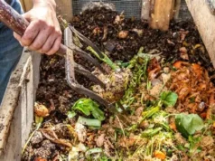 Govt exploring composting technology to better manage waste disposal