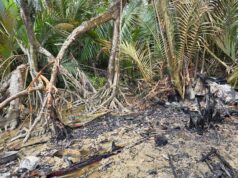 GECOM Vessel Destroyed After Unauthorised ‘Joyride’ Ends in Fiery Crash