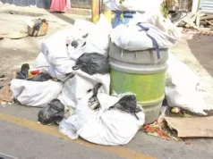 Stricter anti-litter laws proposed as government vows to crackdown