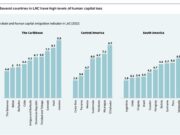 Guyana Tops South American Brain Drain Rankings