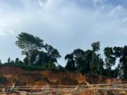 GGMC shuts down six illegal mining operations -38 arrested, equipment seized