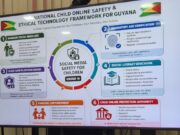 Social media age limit, establishment of Child Online Protection Authority being discussed