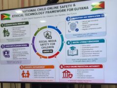 Social media age limit, establishment of Child Online Protection Authority being discussed