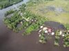 Houses at risk of being completely submerged in Kwakwani flood, CDC finally visits