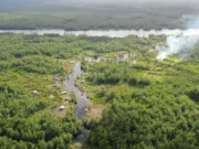 Pres Ali’s Global Biodiversity Alliance membership surges to 125