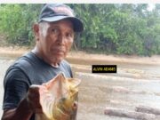 Boat captain killed during rescue mission