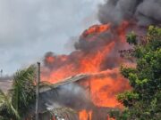 Two children and a caregiver sustain injuries following Enmore fire
