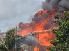 Two children and a caregiver sustain injuries following Enmore fire