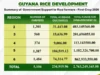 Government injects $2.76B into rice sector