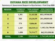 Government injects $2.76B into rice sector