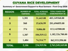 Government injects $2.76B into rice sector