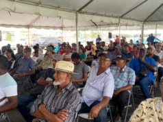 Region Three Rice Farmers receive over $201M in cash grants