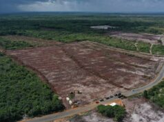 St. Cuthbert’s Mission housing development to provide close to 2000 homes
