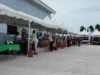 Farmers Market to be held weekly in Sophia, monthly across regions